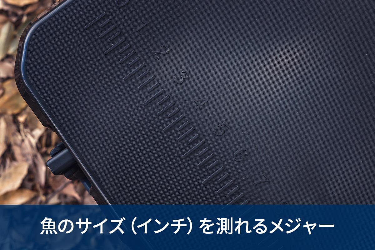 魚のサイズ（インチ）を測れるメジャー