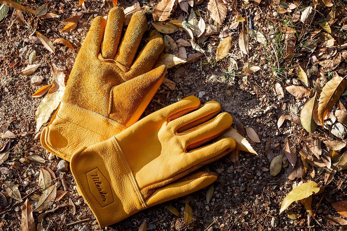 育てる楽しみがあるグローブ