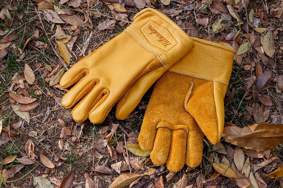 育てる楽しみがあるグローブ